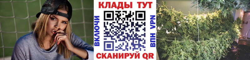 Названия наркотиков Кизляр Конопля Псилоцибиновые грибы Гашиш Меф мяу мяу Cocaine