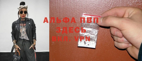 PSILOCYBIN Верхний Тагил