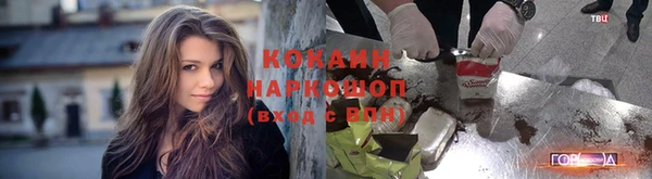 PSILOCYBIN Верхний Тагил