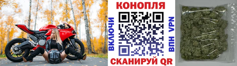 даркнет как зайти  ссылка на мегу маркетплейс  Кизляр  Канабис сатива 